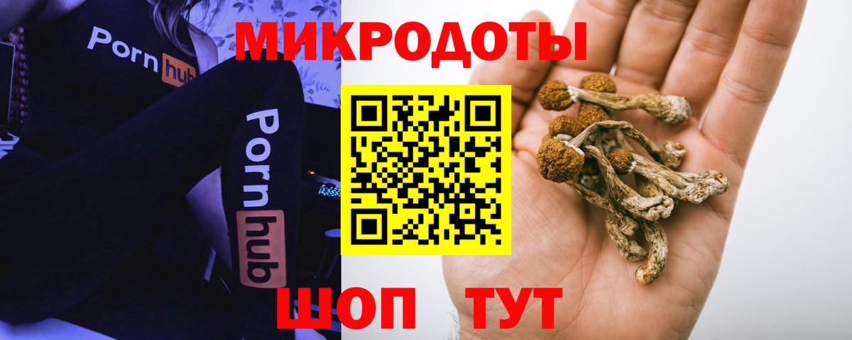 Псилоцибиновые грибы Psilocybine cubensis Спасск-Дальний