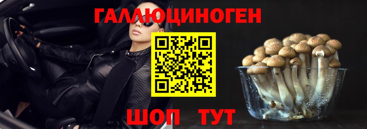 Псилоцибиновые грибы GOLDEN TEACHER  Вход с VPN  Галлюциногенные грибы прущие грибы  продажа наркотиков  Спасск-Дальний 